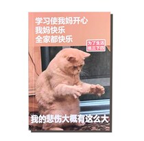 A5 student exercise book funny notebook creative notepad spoof small gift correction book do not learn today (