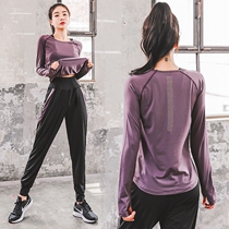 Sports suit Women loose Lean Casual Big Code Elastic Speed Dry Professional Beginners Gym Gym Running Yoga Clothes