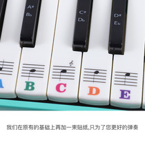 Mouth organ sticker 32 key 37 key children's beginner special scale phonetic alphabet note sticker Qimei harmonica universal sticker