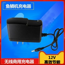 12V Volt Electric Scrape Fish Scale Machine Commercial Beating Fish Scale Fish Scale Scraper to Fish Scale Killer Fish Charger