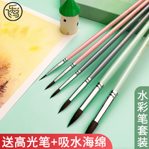 Feile bird watercolor painting pen set Heron animal hair watercolor pen brush art student special drawing pen hook line water Chalk Paint Pencil solid watercolor round head student hook stroke drawing drawing