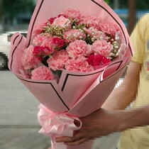 Carnation flower bouquet Shandong Jinan Municipal Zhongcheng Zhongcheng Changqing District Tongcheng Fresh flower shop Express
