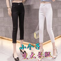 Korean Capri pants women high waist summer thin size stretch lace outside wear small feet leggings small