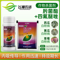 Zhonghe Chemical Nayasen 20% Tetrafrozoxime mycorrhizin strawberry rose cucumber powdery mildew fungicide