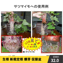 Hair root strength Strong hair root promotion Root rooting Long root plant transplanting pot change growth weakness injury Fixed root water