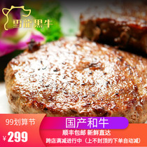 Snow Dragon Black Bull Delicate Steak 1000g 8 Fried Steak Burger Meat Childrens Steak