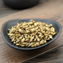 Malt cooked malt barley tea 500g barley malt jx