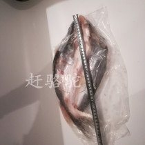 Domestic open-backed Mekong fish Dragonfish net weight 20 Jin 9 pastas