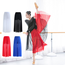 Classical dance gauze pants base training uniforms Big Red wide leg pants white stage costume blue sexy perspective dance pants