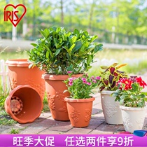 Alice relief resin Alice Longbowl flower pot green flower flower flower flower flower flower closing household cleaning household thickness planting high basin