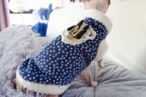 Wear extra thick double-sided cashmere Cashmere unfettered flexible cotton-padded jacket hairless cat clothes Winter