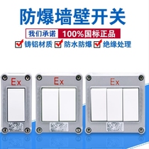 Wall double Open 86 industrial lighting switch professional engineering accessories EX explosion-proof switch control single open operation waterproof