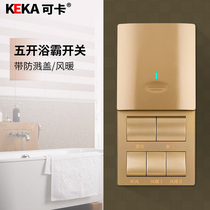 Home Wall 86 Type Warm Air Blower Bath Switch Slip Cover Type Waterproof Bathroom 5 All-in-one Switch Five Open Switch