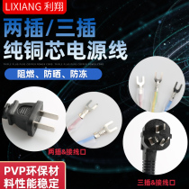 Lixiang two-plug three-plug pure copper power cord