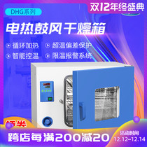 Shanghai Yiheng oven industrial electric blast drying oven constant temperature box DHG-9030 grains Chinese herbal medicine