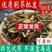 Chenopodium Chinese herbal medicine shop 500g jingojie chenopodium herbal tea Chinese herbal medicine large whole with catnip spike variety
