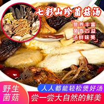 Dendrobium Macang colorful deep mountain mushrooms as low as 33 yuan per pack Soup stew stir-fry dry food delicious taste of mushrooms overflowing