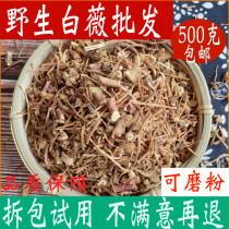 Baiwei Chinese herbal medicine shop 500g white micro gentian Bai Wei Bai Longxu Weicao Baidang grass Chinese herbal medicine