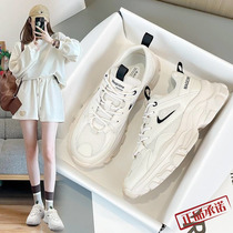 Hong Kong Daddy Shoes and Female Breathable 2022 Summer New Tide in Tide Mesh Web Little Sports Leisure Shoes