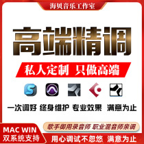 Professional Tuning Division Sound Card Debugging Fine Tune Custom MAC Eken Yamahallevitt Audient Maya RME