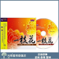 Genuine One Branch Flower Wang Yongde Erhu Fame Classroom Four 12VCD Teaching Video CD Disc Coaching Tutorial