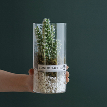 Multi-meat simulation plants ins Nordic potted cactus green planting decorative fake flower desktop small swing piece indoor living room