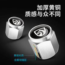 Special for Baojun 730 CAR TIRE VALVE NOZZLE CAP DECORATION 510 THEFT PROTECTION VALVE CORE LID RETROFIT PROTECTION LID
