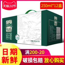 (New Date) Shepherd Goat Milk Pure Goat Milk Nutrient Breakfast Fresh Goat Milk Non Milk 250ml * 12 Boxzq