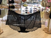 Hua Geer flat corner unscented sexy hip underwear transparent lace WP2629 domestic