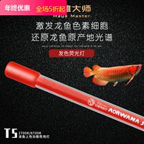 Fish tank lamp dragon colored lamp roasted submersible lamp NEC Golden Red Dragon special Japanese T5 brighter Maya Master three base