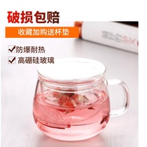 Camellia cup thickened glass cup tea three-piece Cup with lid filter heat-resistant cup office household water Cup