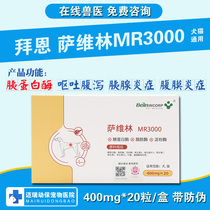 Bain Saverin MR3000 pet dogs and cats acute and chronic pancreatitis abdominal pain diarrhea vomiting thin enteritis small