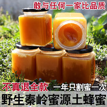 Honey pure Qinling soil honey natural farm self-produced honey wild honey source peak honey peak honey deep mountain hundred nectar 500g