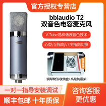 bblaudio T2 condenser microphone dual-tone large diaphragm professional recording studio dubbing live vocal microphone