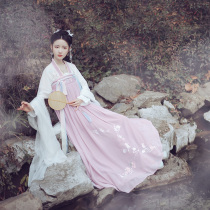 Chi Xia Lun Ling: Shuanger original improvement Hanfu Tang made chest skirt spring womens suit rabbit peach embroidery