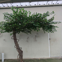 Simulation Banyan tree Simulation large plant decoration Hotel hall set Solid wood trunk custom-made