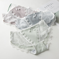 3 pieces of underwear women cotton girl Japanese sweet cute lace sexy Daisy low waist Lady breifs