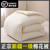 Xinjiang cotton quilt plush quilt core mattress mattress cotton cotton wool thickened warm winter quilt pad single person