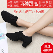 Oxford cloth professional Latin dance shoes womens soft bottom middle school teacher body Friendship Square dance shoes summer