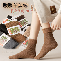 Snow socks womens mid-tube socks winter thickened plus velvet stockings warm terry pile pile socks sleep long tube floor socks