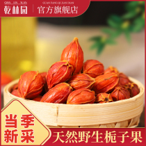 Gardenia tea Yellow gardenia Mountain gardenia Red gardenia can be powdered and colored Edible stewed meat gardenia fruit