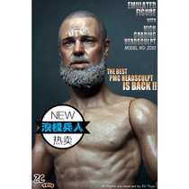 ZC TOYS 1 6 Noahs Ark Genesis Journey Russell Crowe Head Sculpture Spot (Batch)