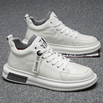 Mens casual shoes All-in-one sports casual shoes Mens fashion all-in-one Korean version of the tide mens summer mens shoes breathable shoes