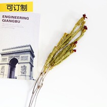 (Mountain tree) yellow-green imported eternal flower dried flower branches home vase with decorative leaves