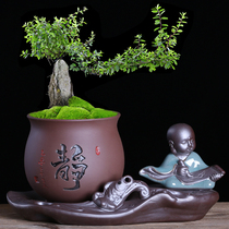 Purple Sand Flower Pot Creative Combo Wenzhu Potted Living Room Desktop Zen Serve small monk Swaying Pieces Office Banyan Tree Ceramic Basin