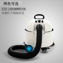 Chunzhou E22-2300 dual motor high power pet medium and large dog water blower bath blow dry teddy hair dryer