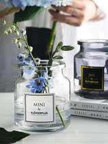 Nordic style small glass flower arrangement bottle Mini wide mouth bottle countertop decoration Hydroponic flower artist home decoration