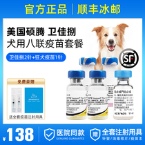 Pfizer Weijia 8 vaccine puppy dog dog eight dog vaccine Weijiabao rabies vaccine dog with a package needle
