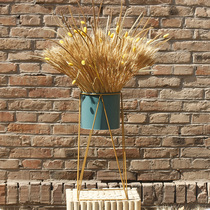 Barley ear dried flowers Nordic decorative ornaments photography props clothing store window display decoration iron flower basket landing