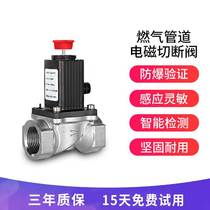 Gas solenoid valve automatic shut-off gas tank cylinder manipulator pulse signal direct pipe automatic shut-off valve
